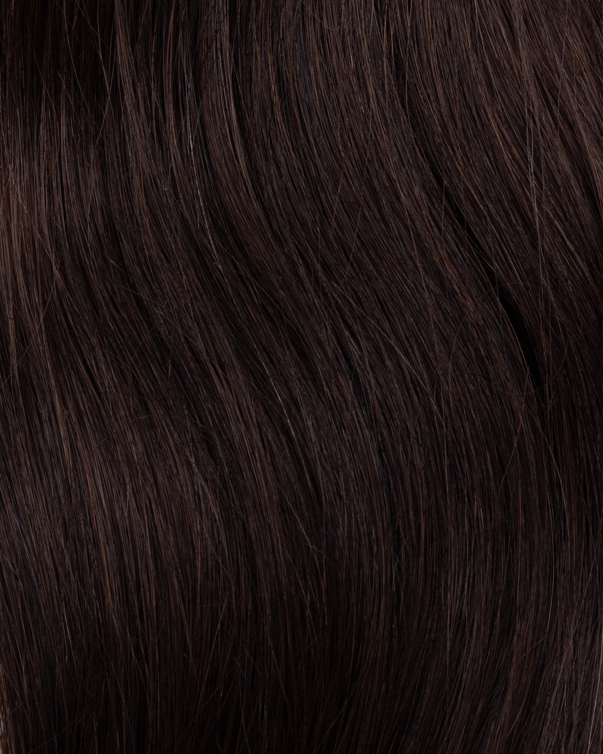 PONY TAIL CABELLO HUMANO