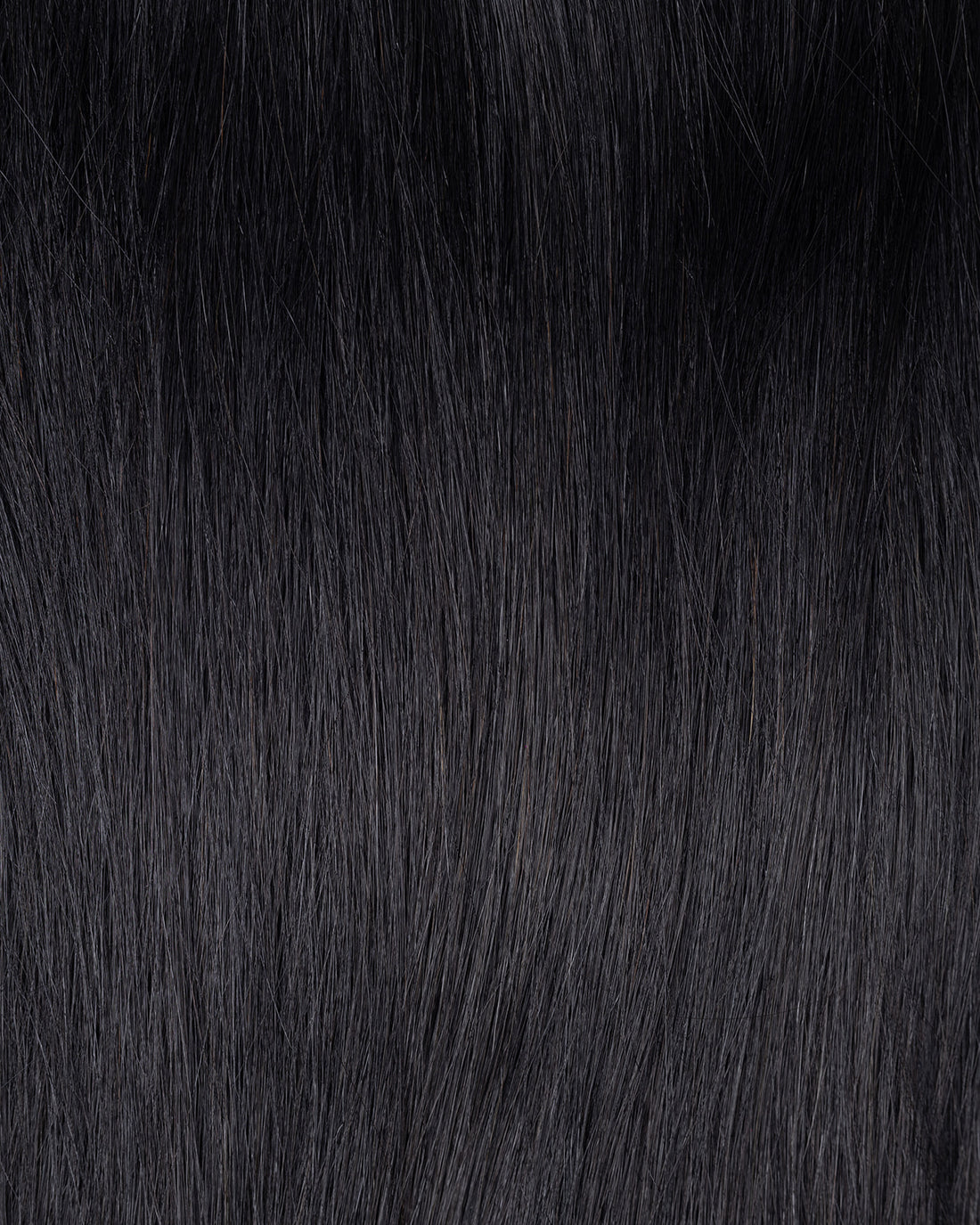 PONY TAIL CABELLO HUMANO