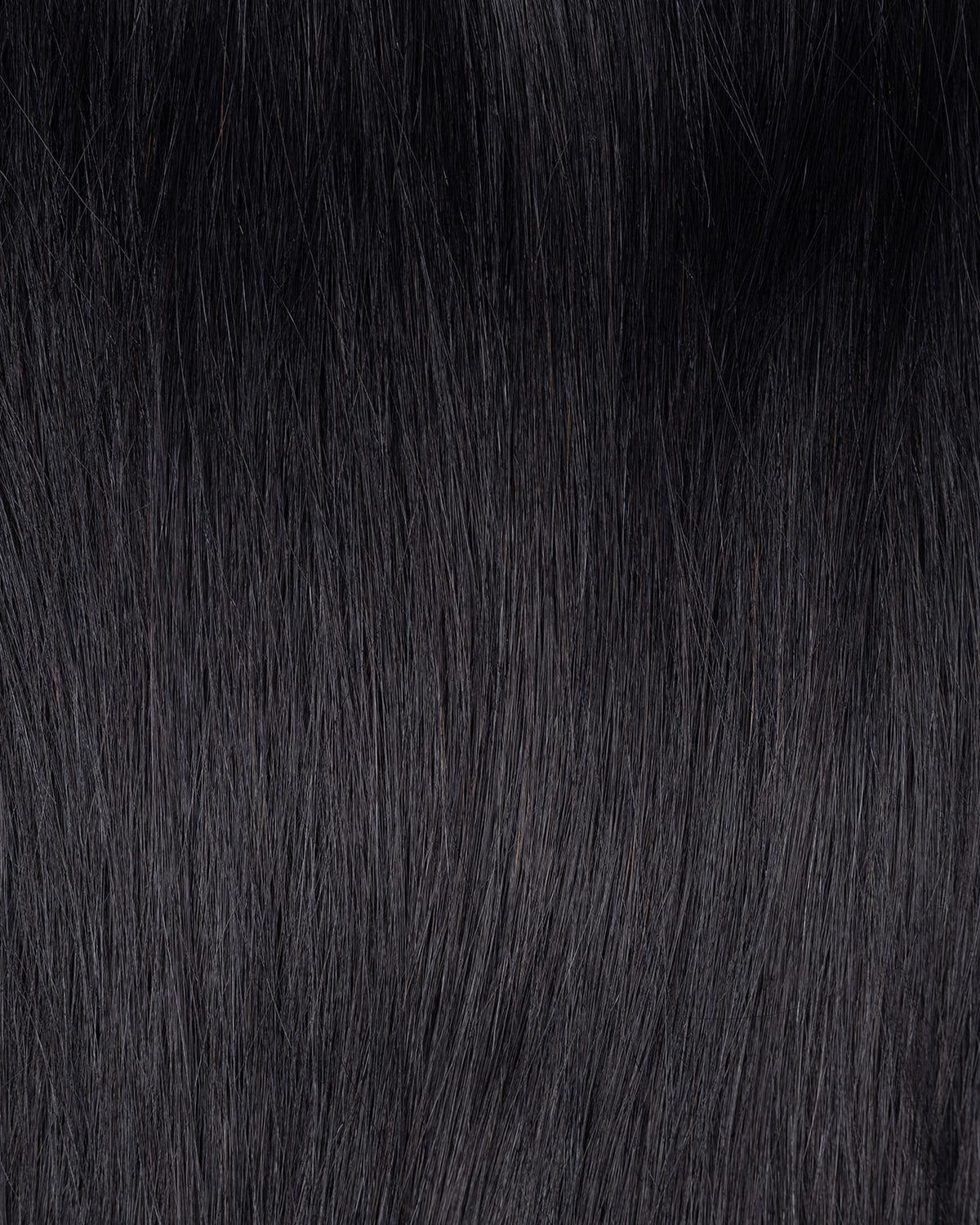 PONY TAIL CABELLO HUMANO