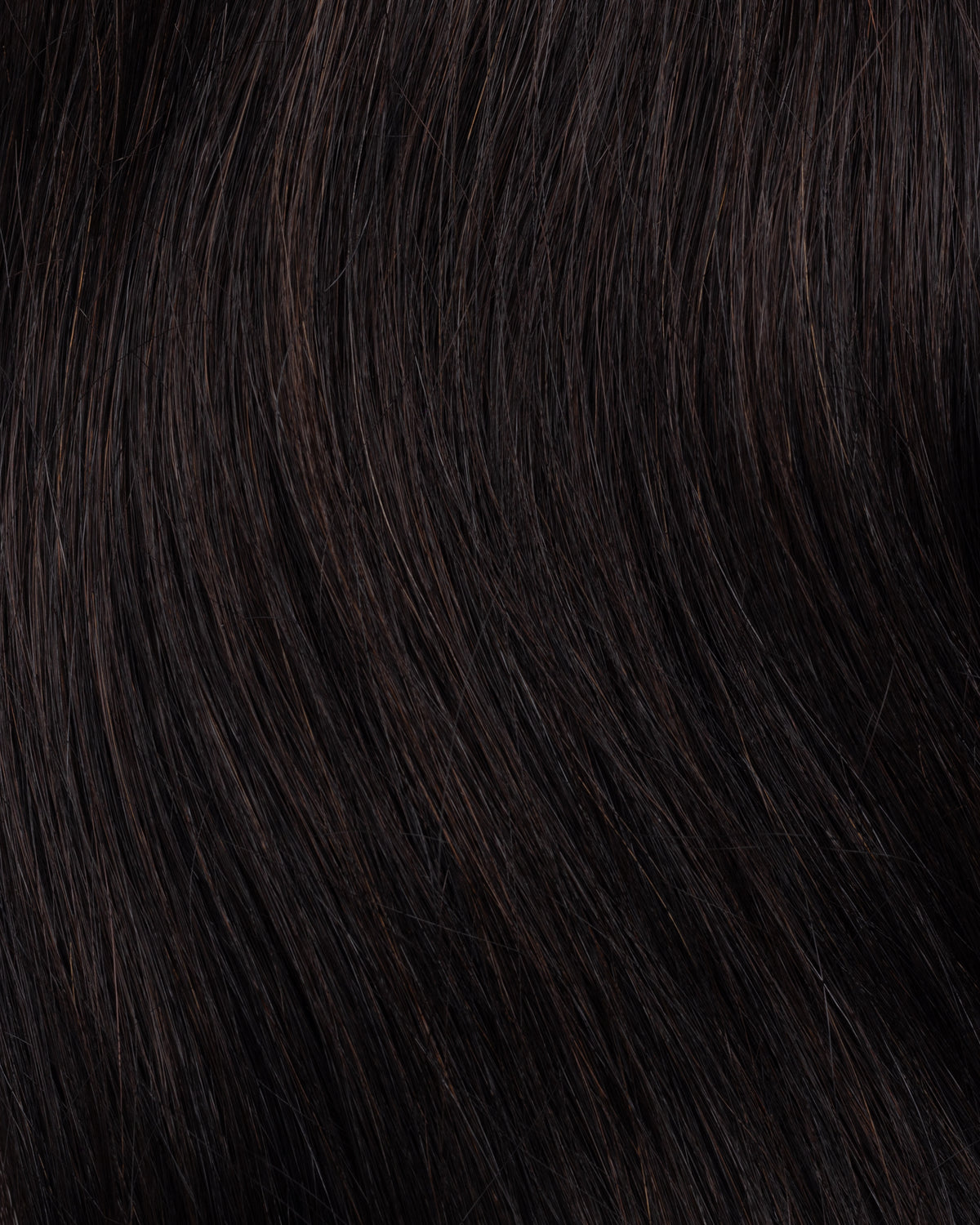 PONY TAIL CABELLO HUMANO