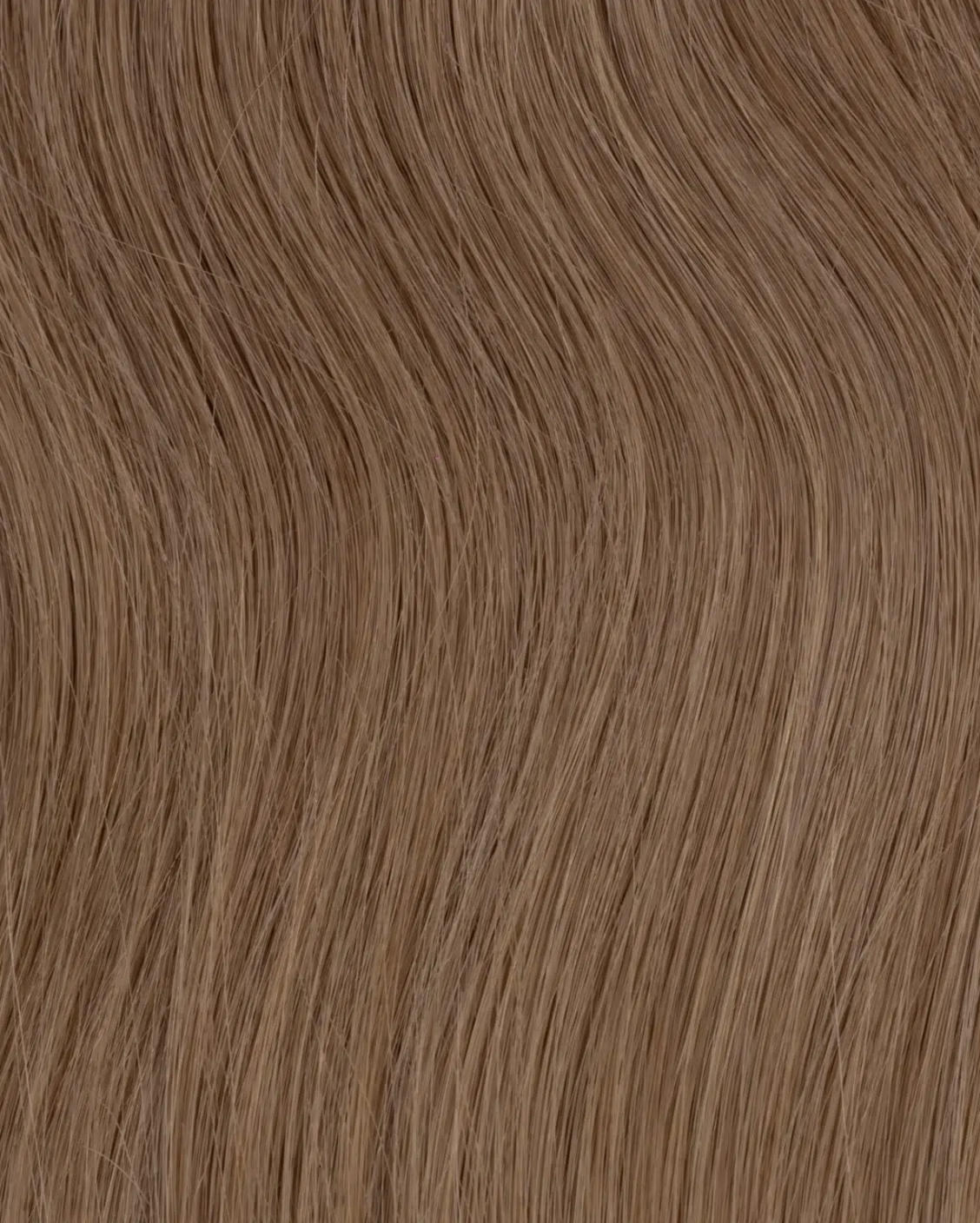 Extension de Cortina CABELLO 100% HUMANO